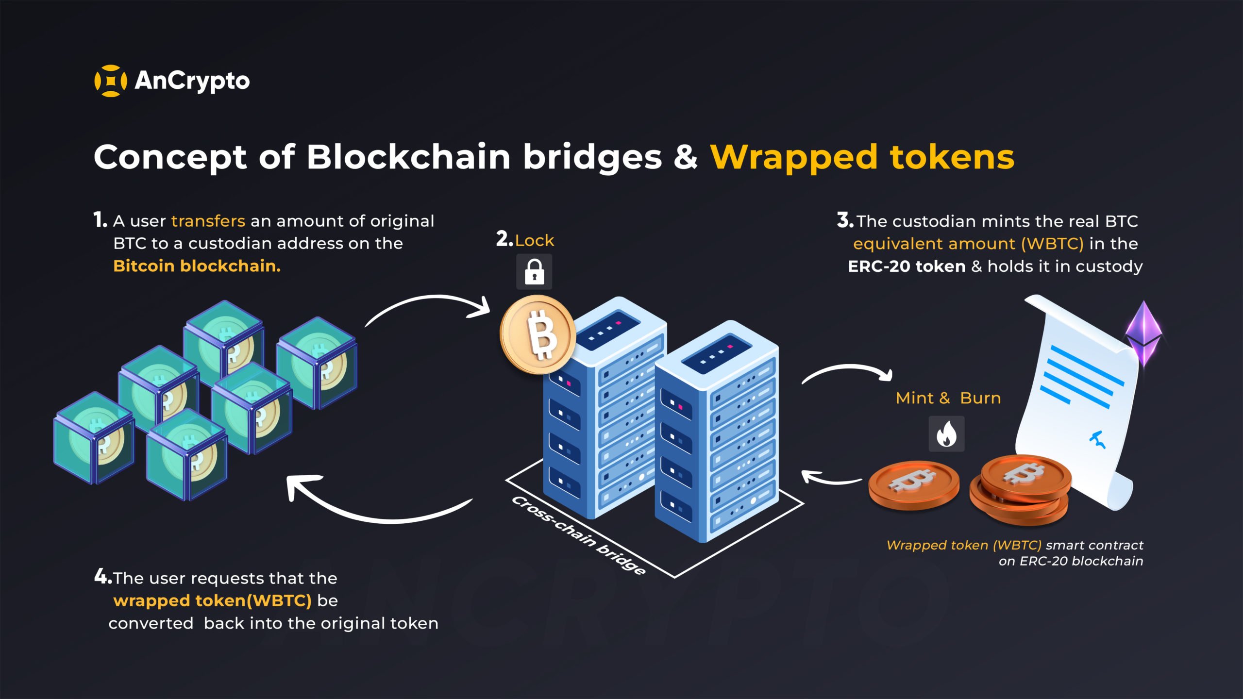 Concept Of Blockchain Bridges and wrapped tokens infographic